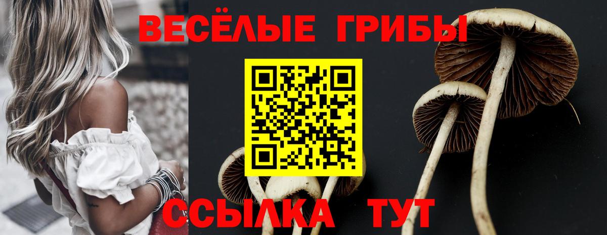 Галлюциногенные грибы Psilocybe  Вход с VPN  Джанкой 